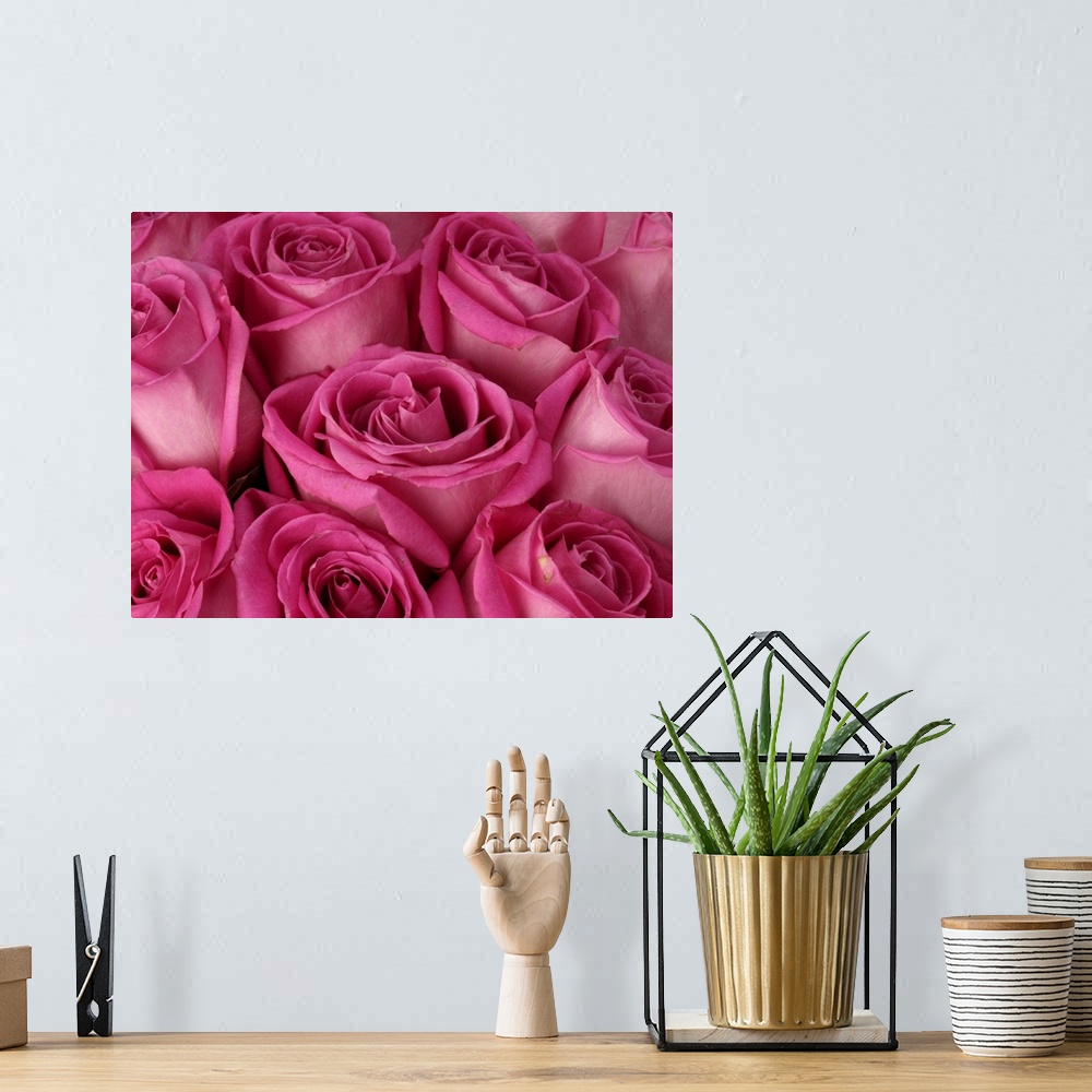 A bohemian room featuring Wall art of the up close view of roses on canvas.