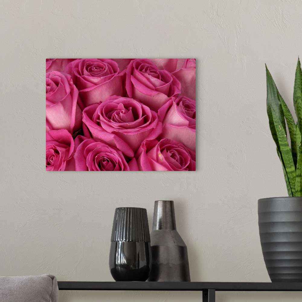 A modern room featuring Wall art of the up close view of roses on canvas.