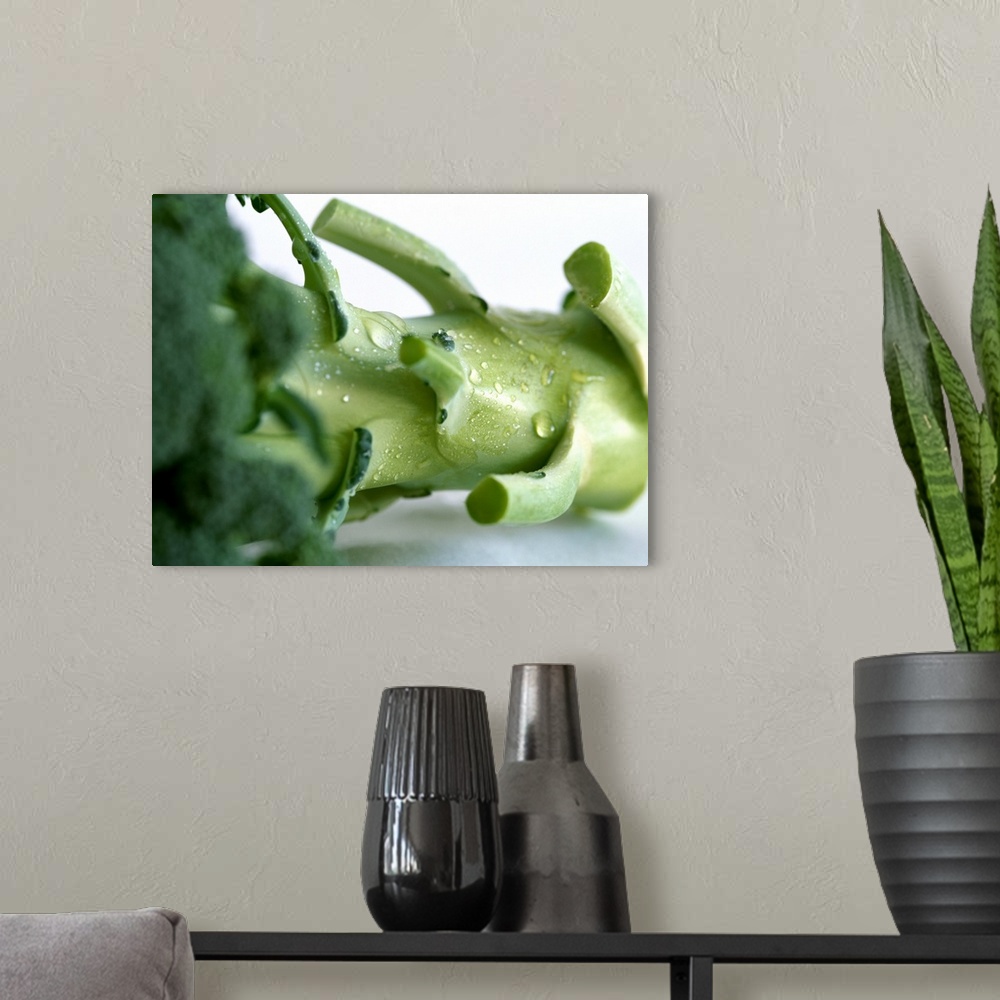 A modern room featuring Broccoli