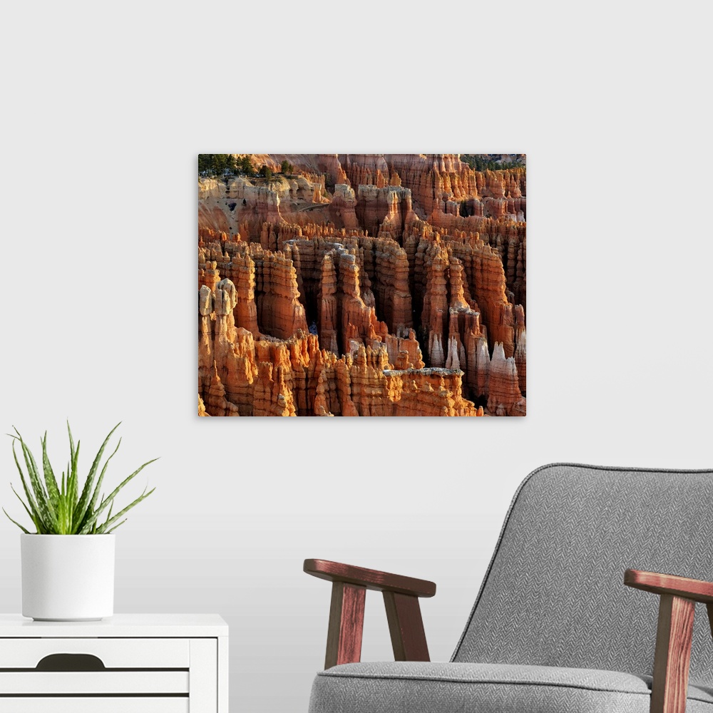 A modern room featuring Bryce Canyon National Park Just after Sunrise from Inspiration point on a Crisp February day.