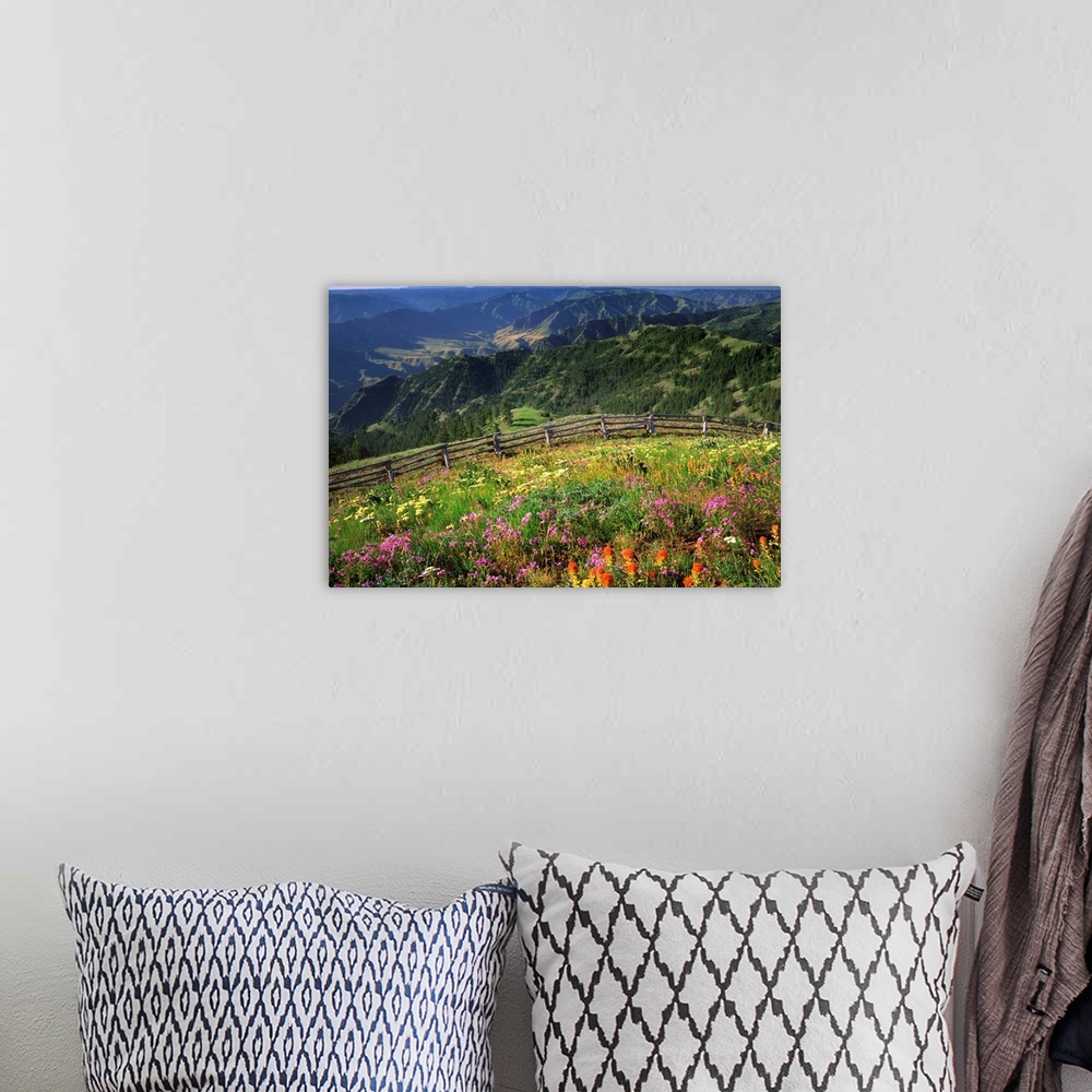 A bohemian room featuring Wildflowers on Buckhorn Viewpoint overlooks the Imnaha River Valley in Hells Canyon National Recr...