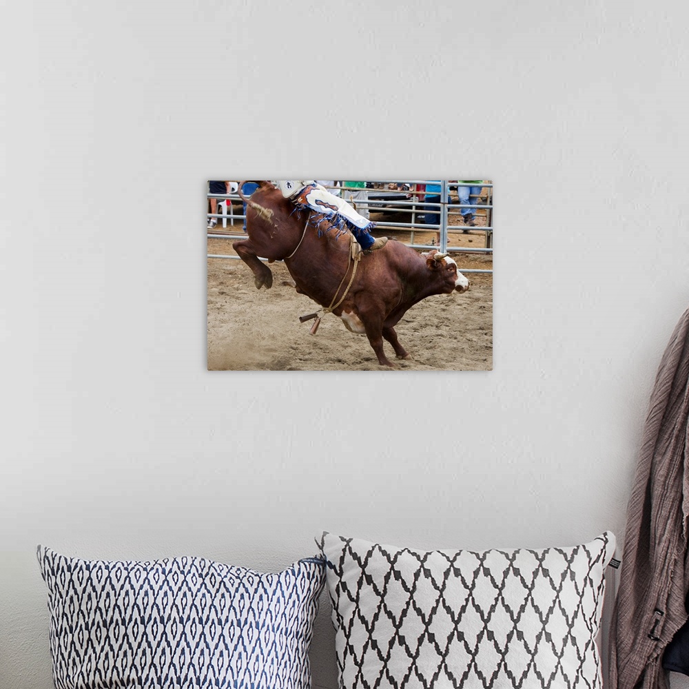 A bohemian room featuring Bull Rider At Rodeo