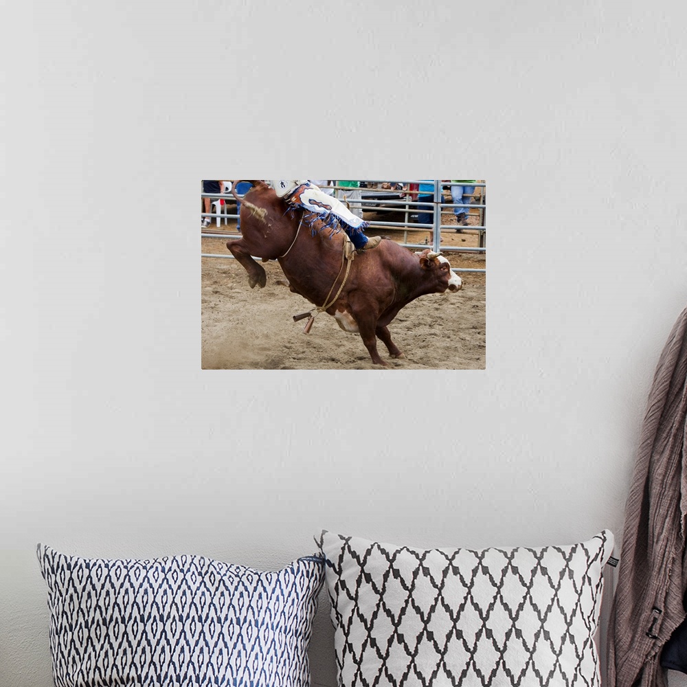 A bohemian room featuring Bull Rider At Rodeo