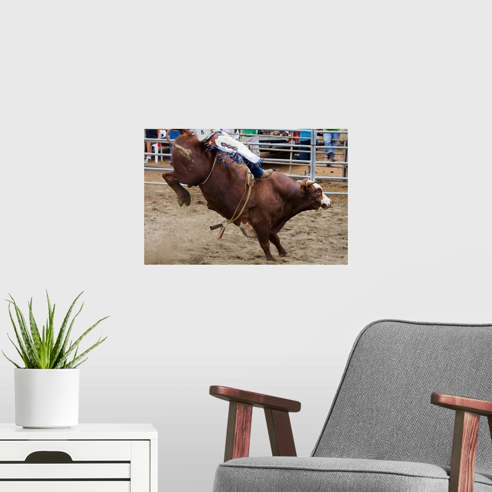 A modern room featuring Bull Rider At Rodeo