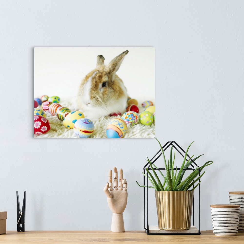 A bohemian room featuring Bunny Rabbit Sitting Among Easter Eggs