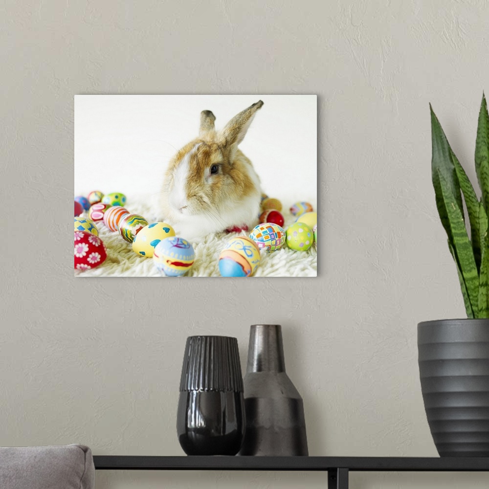 A modern room featuring Bunny Rabbit Sitting Among Easter Eggs