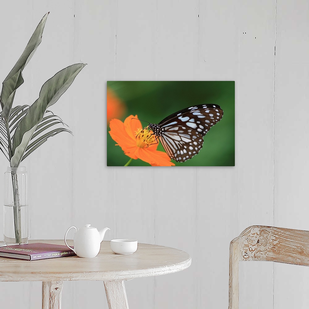 A farmhouse room featuring The butterfly counts not months but moments, and has time enough.