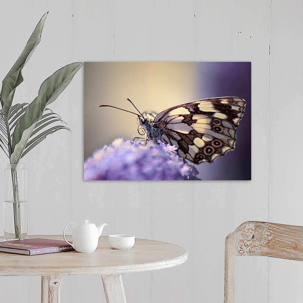 A farmhouse room featuring Butterfly on flower.