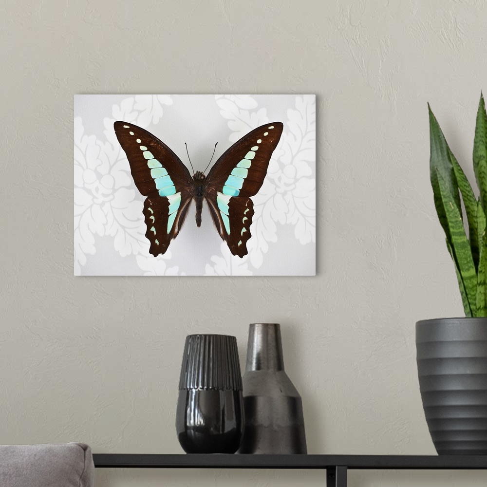 A modern room featuring Butterfly on wallpaper background