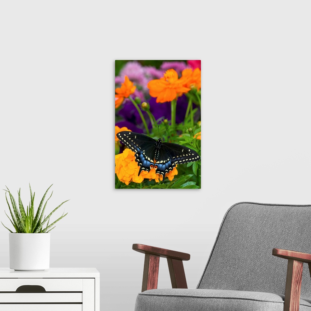 A modern room featuring Butterfly On Yellow Flowers