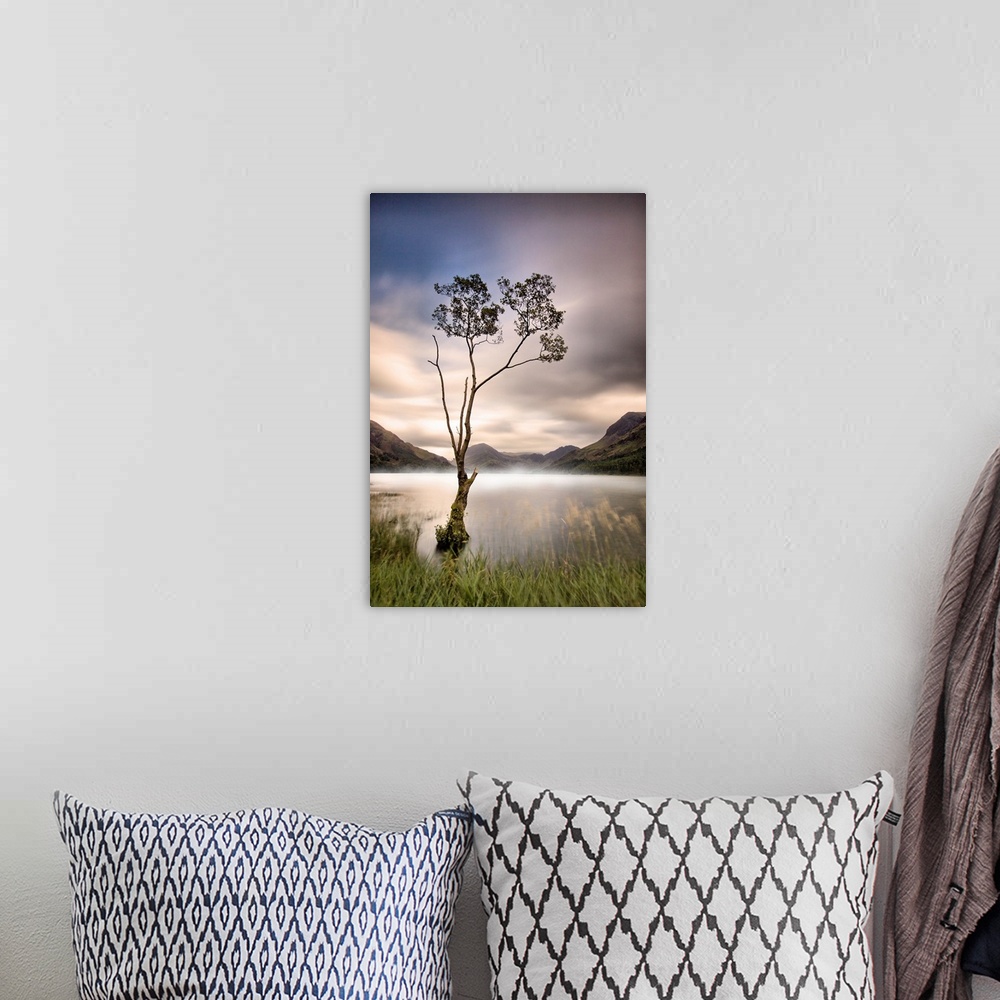 A bohemian room featuring A cold misty / foggy morning making for a dreamy sunrise at Buttermere lone tree, Cumbria.