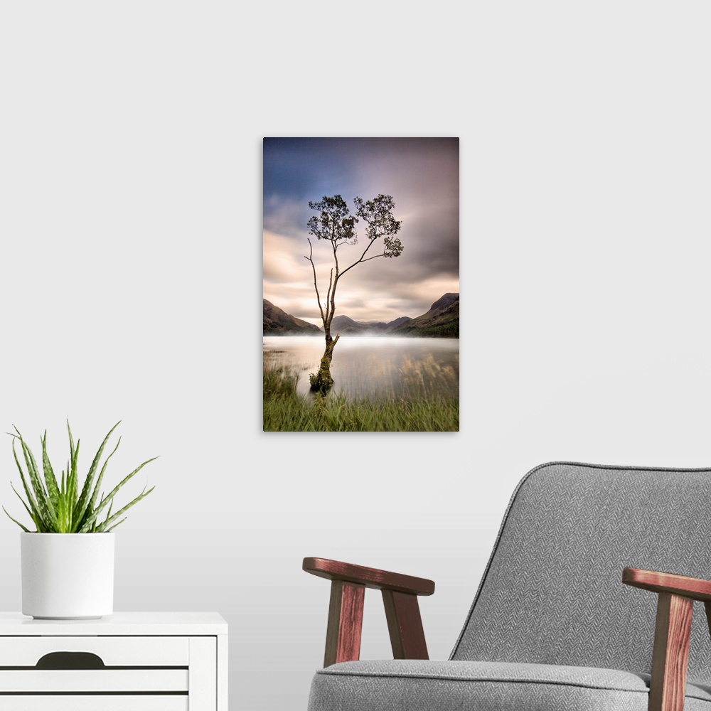 A modern room featuring A cold misty / foggy morning making for a dreamy sunrise at Buttermere lone tree, Cumbria.