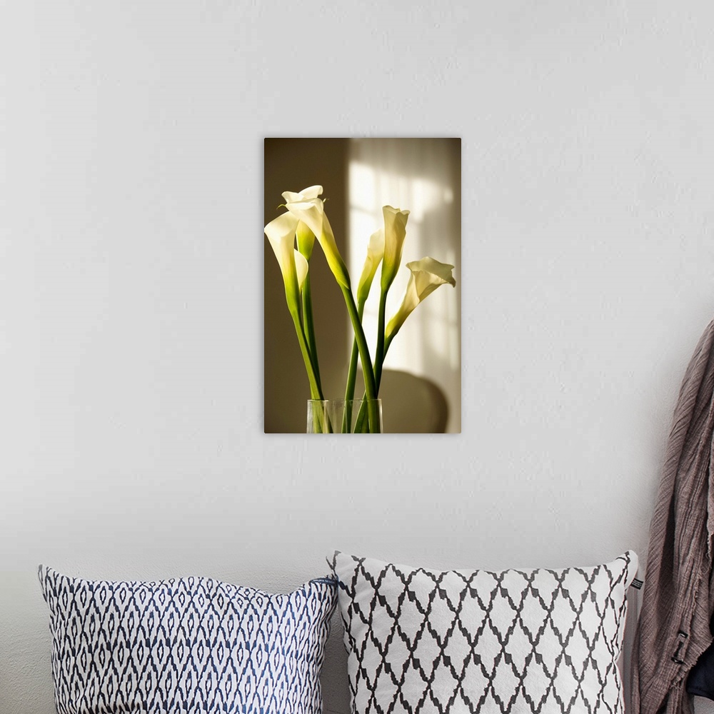 A bohemian room featuring Calla lilies in a vase