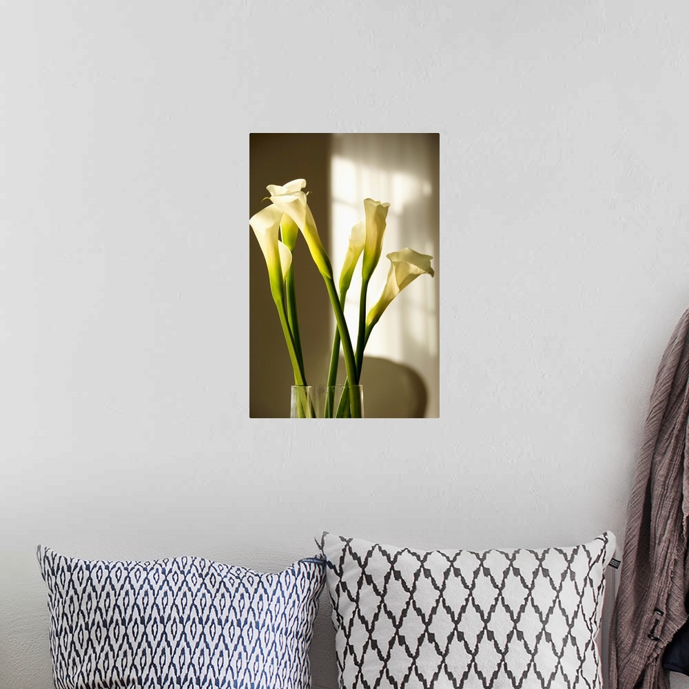 A bohemian room featuring Calla lilies in a vase