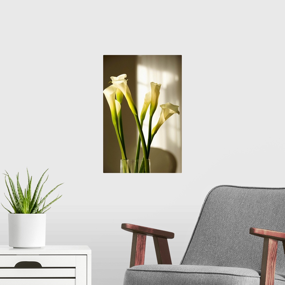 A modern room featuring Calla lilies in a vase
