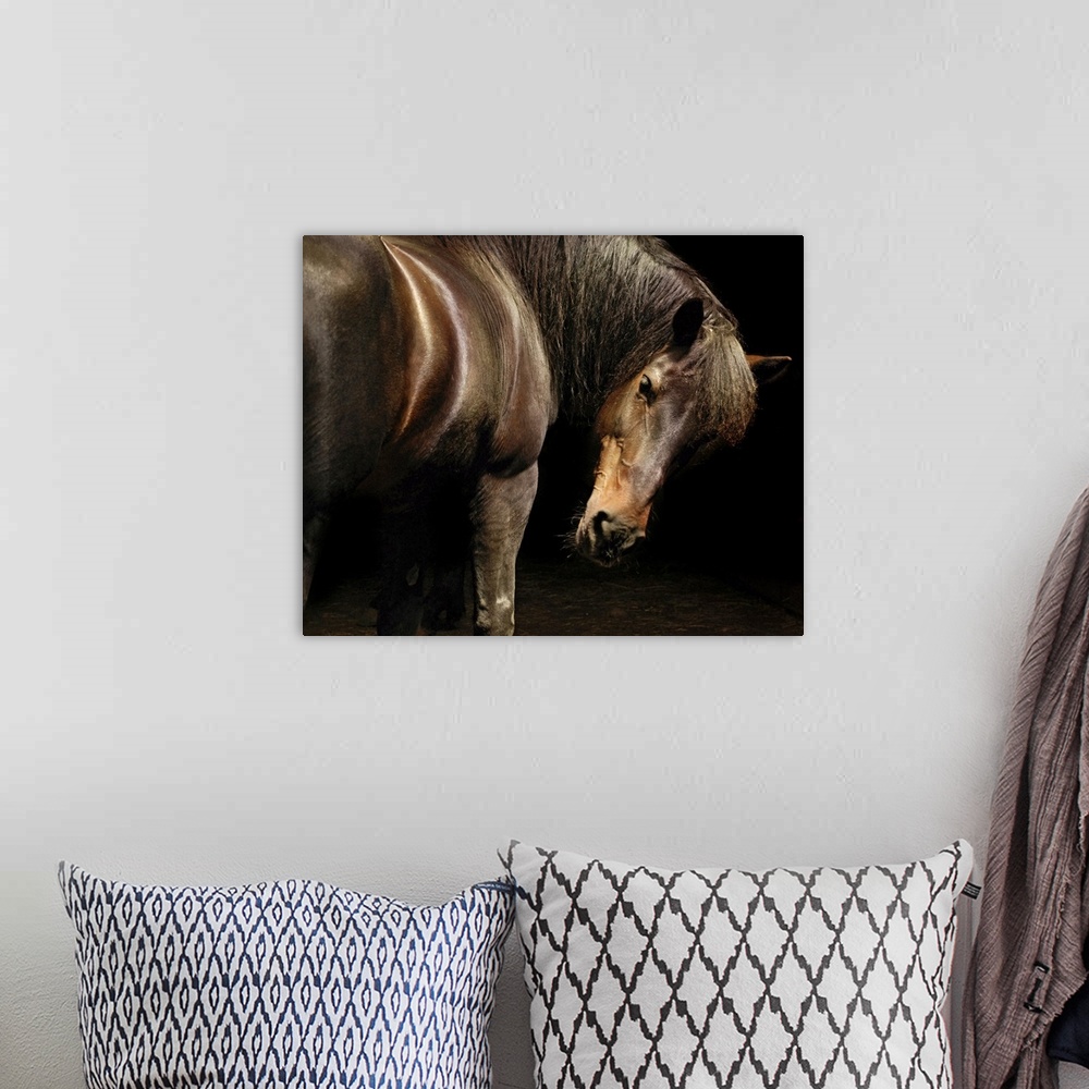 A bohemian room featuring Shimmering brown horse turns to look back in to the dark.