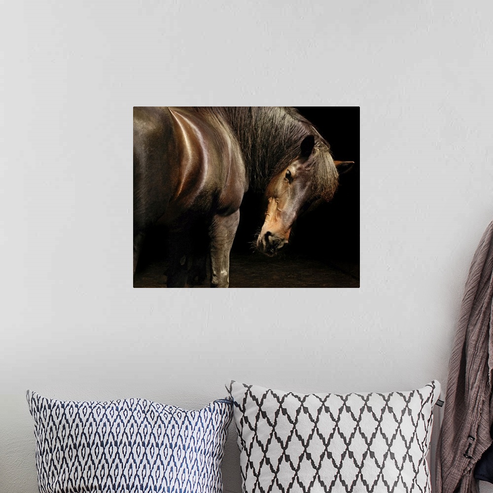 A bohemian room featuring Shimmering brown horse turns to look back in to the dark.