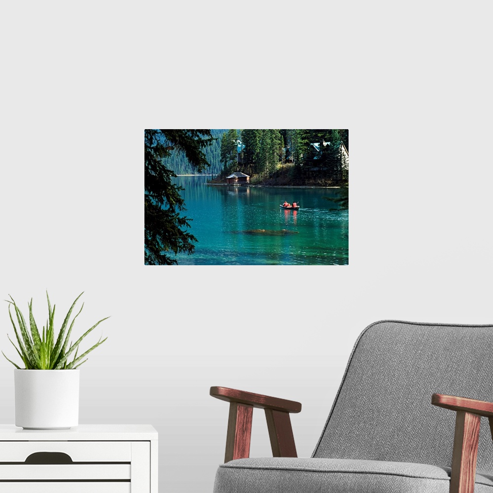 A modern room featuring Canoeing in a river surrounded by forest
