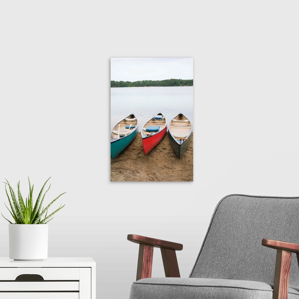 A modern room featuring Canoes at lake shore