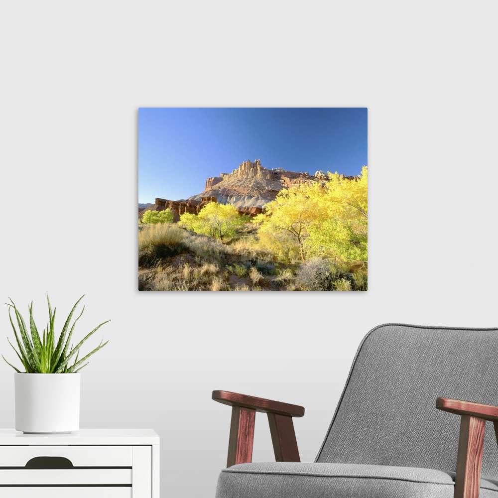 A modern room featuring 'Autumn, Capitol Reef National Park, Southern Utah'