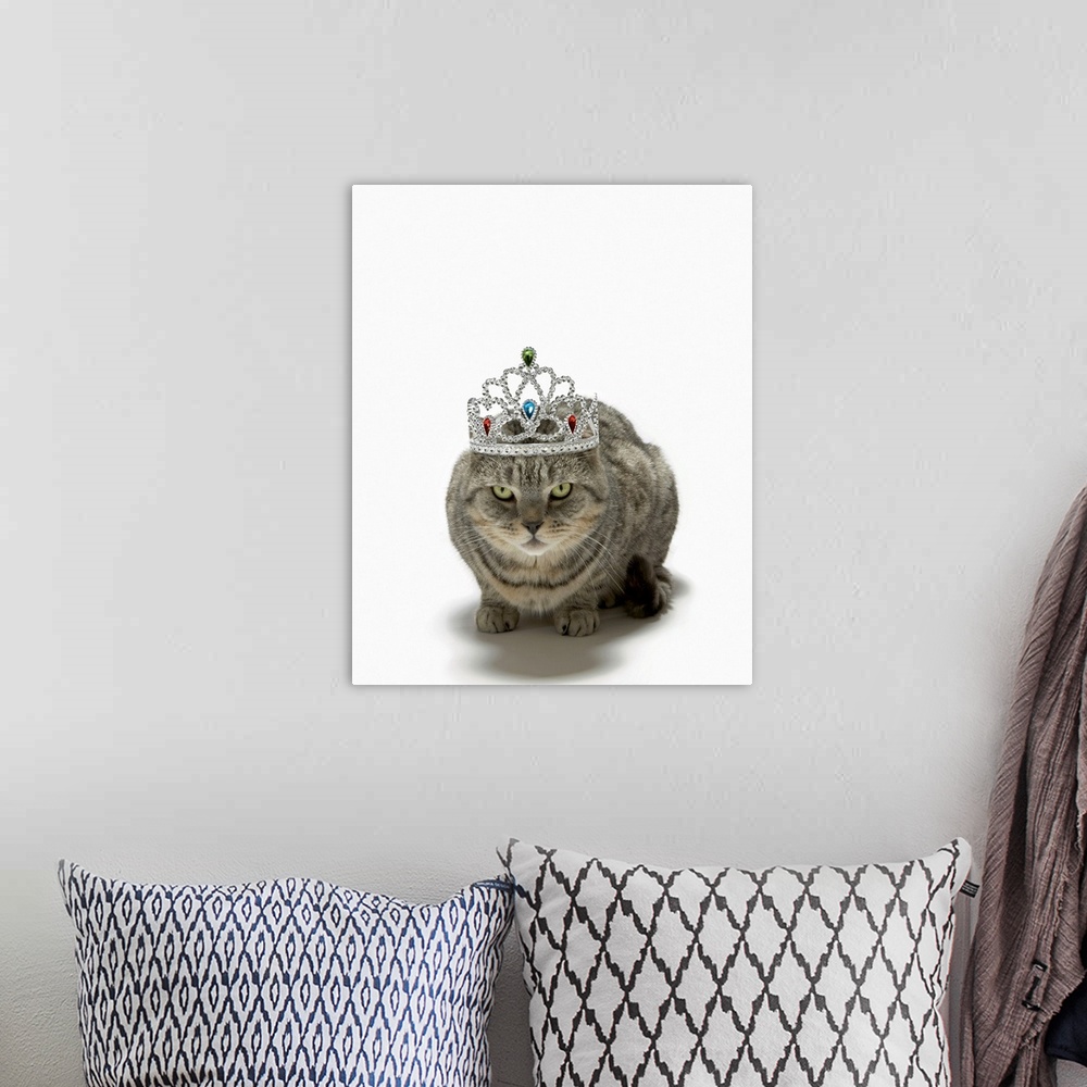 A bohemian room featuring Cat wearing a tiara