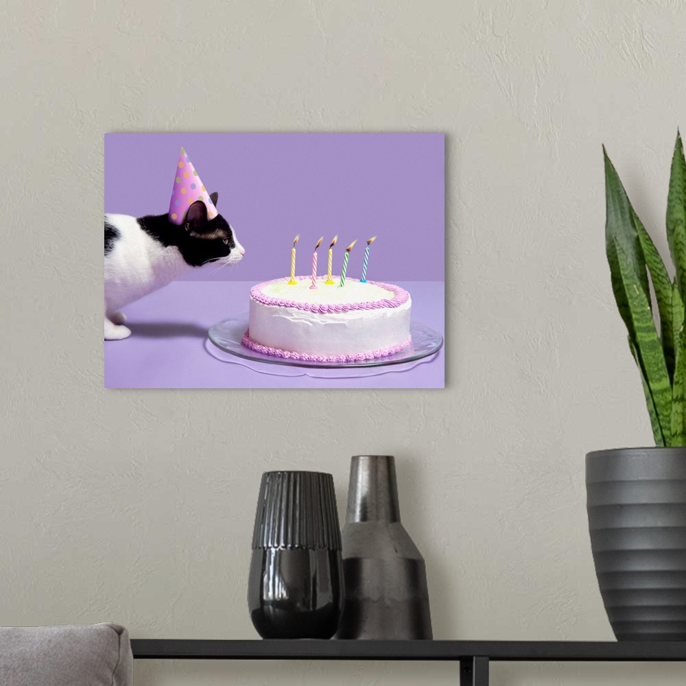 A modern room featuring Cat wearing birthday hat blowing out candles on birthday cake