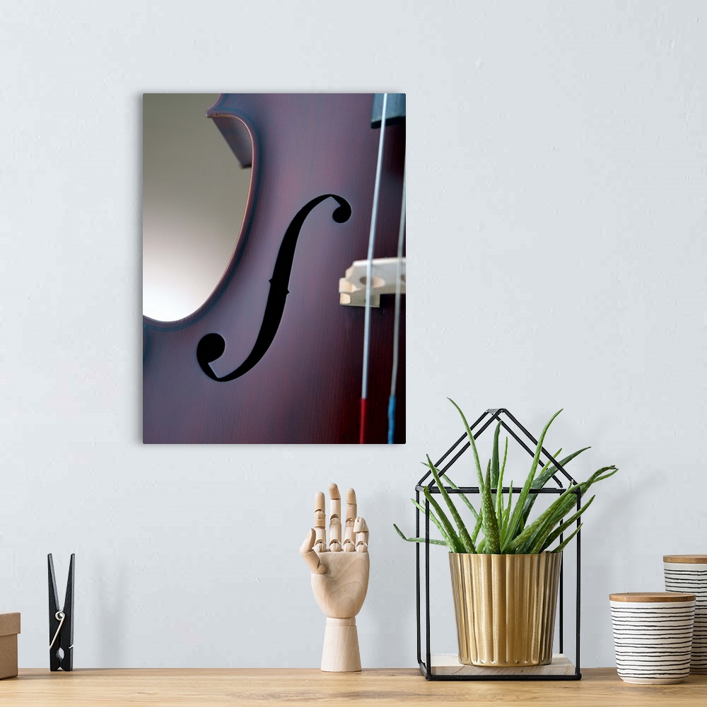 A bohemian room featuring Cello