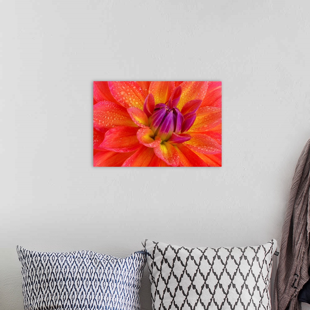 A bohemian room featuring Up close view of a bright flower petal printed on canvas.
