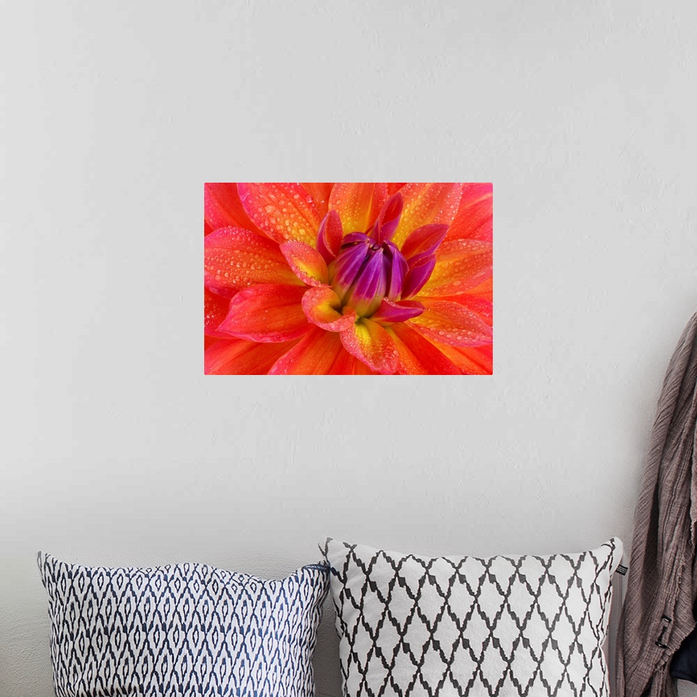 A bohemian room featuring Up close view of a bright flower petal printed on canvas.