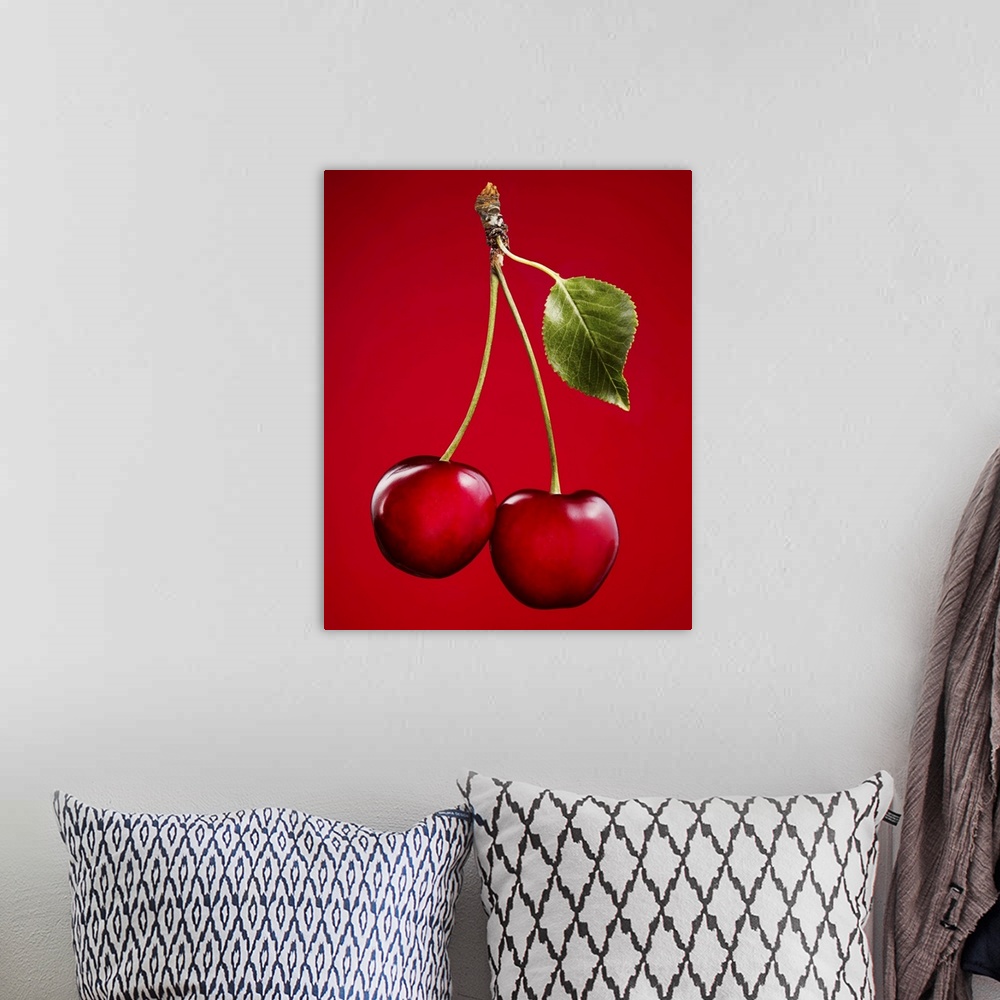 A bohemian room featuring Cherries with Leaf on Red Background