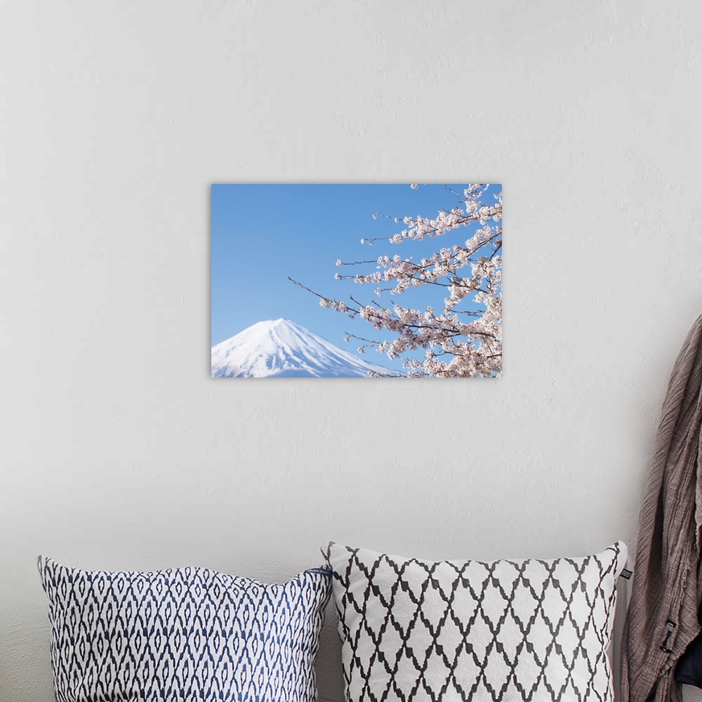 A bohemian room featuring Cherry Blossoms And Mt. Fuji, Japan