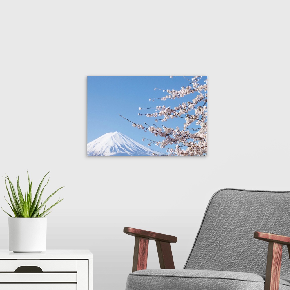 A modern room featuring Cherry Blossoms And Mt. Fuji, Japan