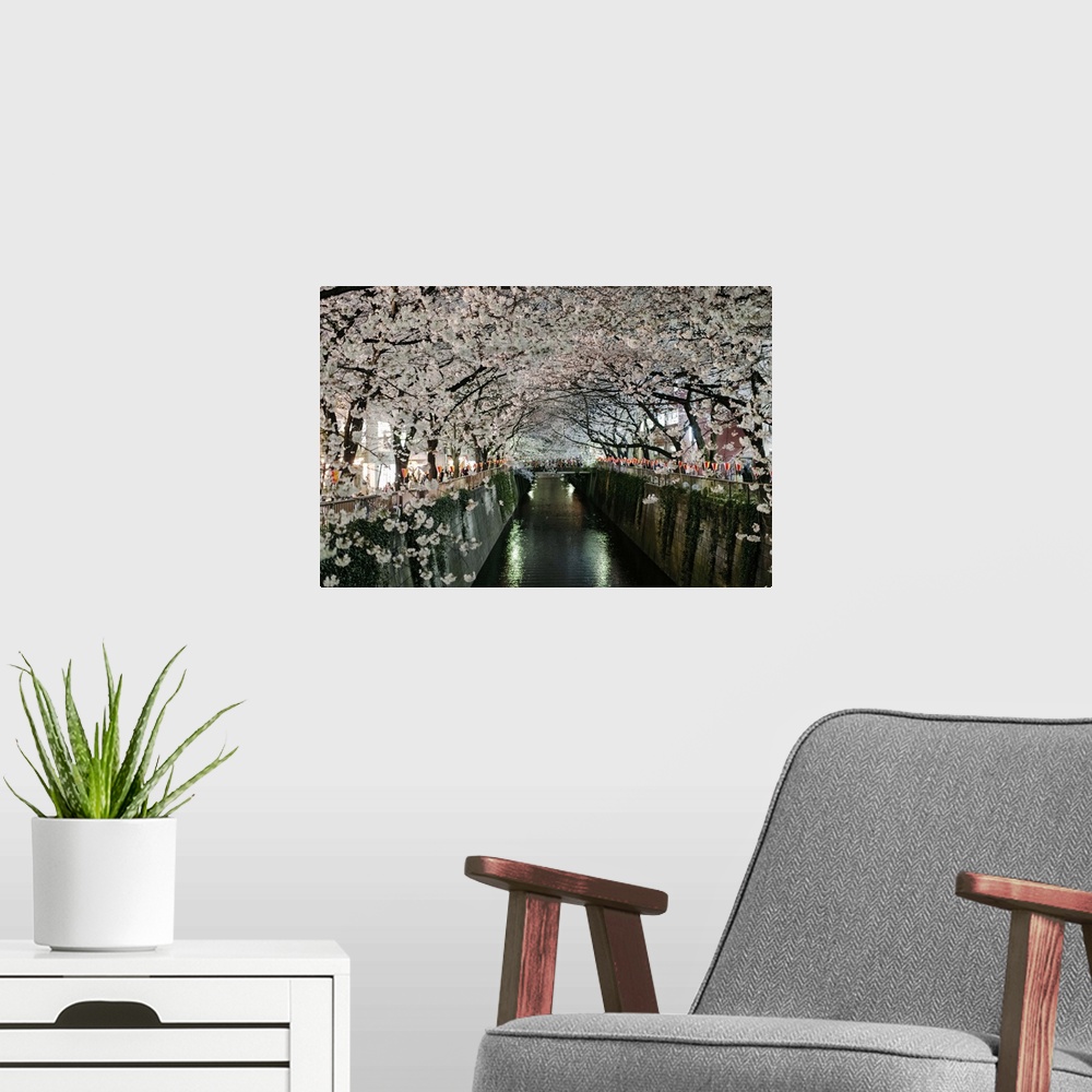 A modern room featuring Rows of cherry blossoms in full bloom line the meguro river in Tokyo, Japan on a bright evening i...