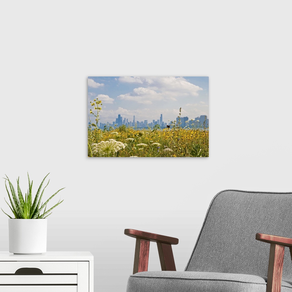 A modern room featuring Chicago as seen from Montrose Harbor's bird sanctuary.