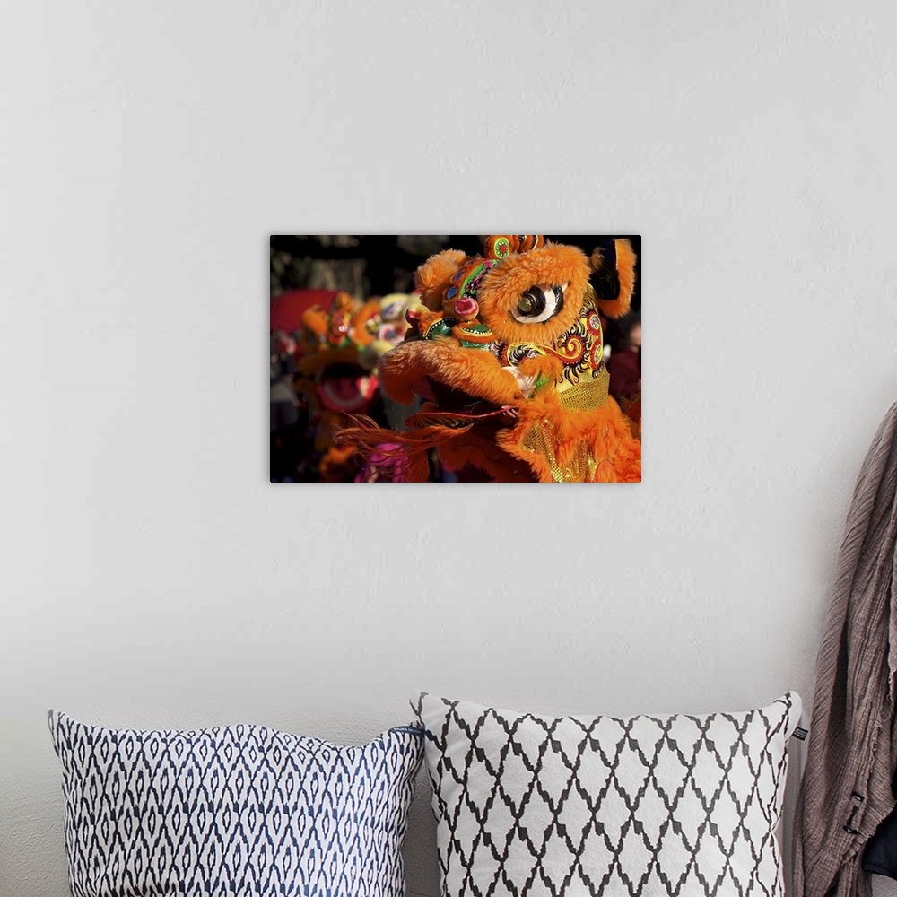 A bohemian room featuring Close-up of Chinese lion dance, Jhubei City, Taiwan.