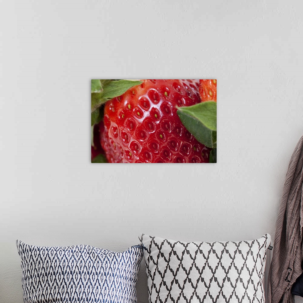 A bohemian room featuring Full frame close-up of a Strawberry