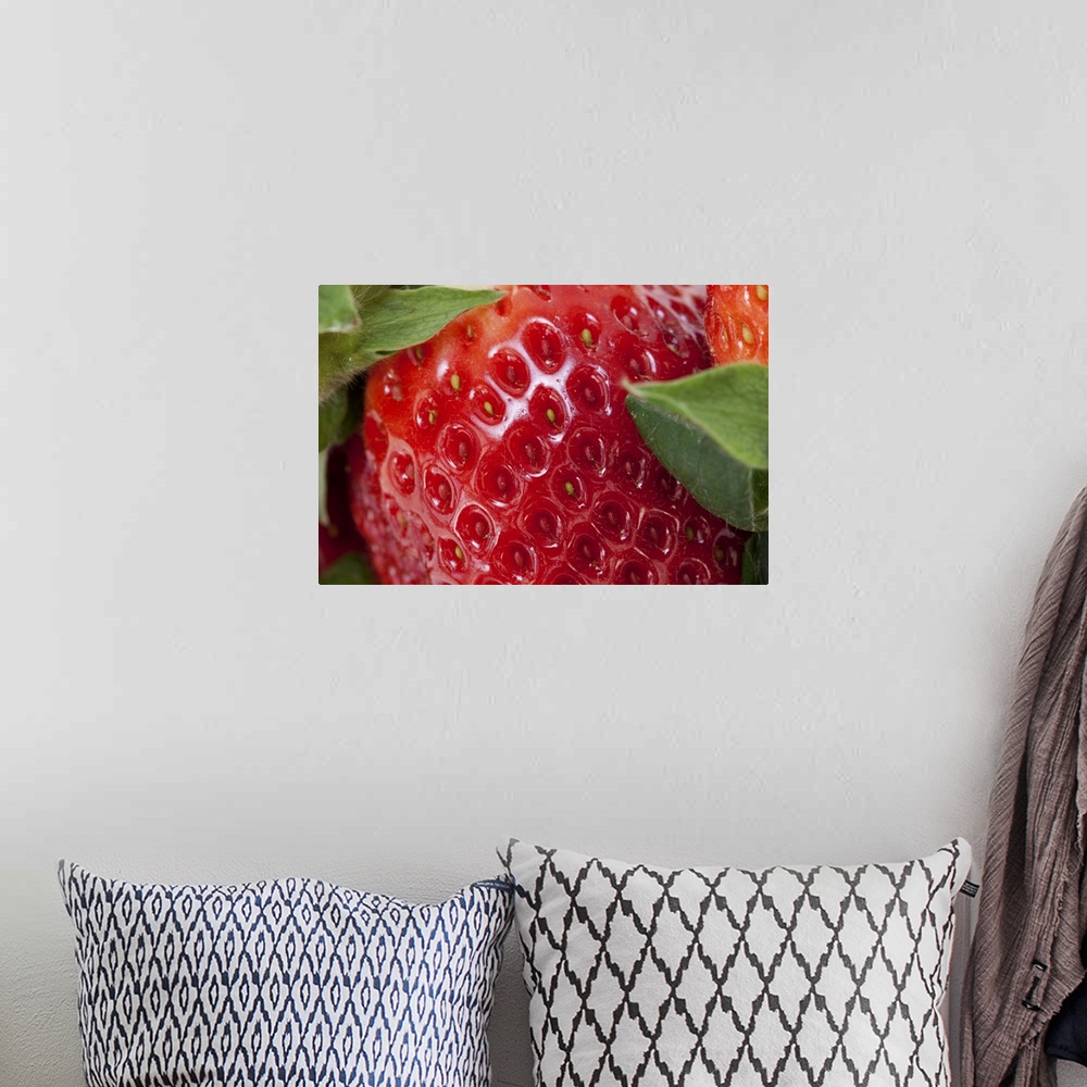 A bohemian room featuring Full frame close-up of a Strawberry