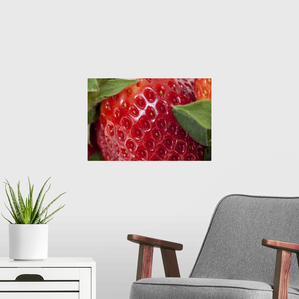 A modern room featuring Full frame close-up of a Strawberry