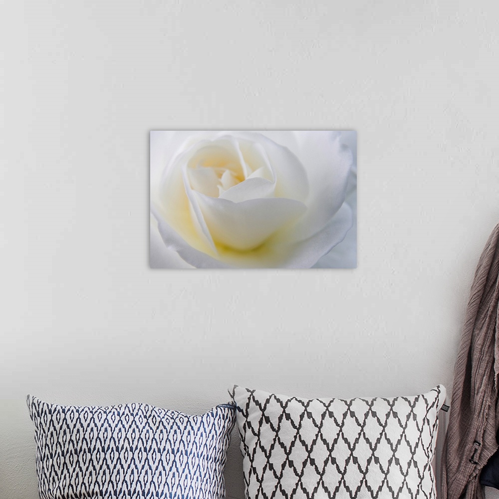 A bohemian room featuring A macro photograph with shallow depth of field of a rose on a horizontal canvas.