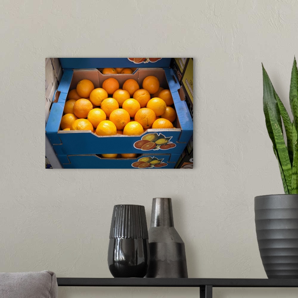 A modern room featuring Close up of boxes of oranges