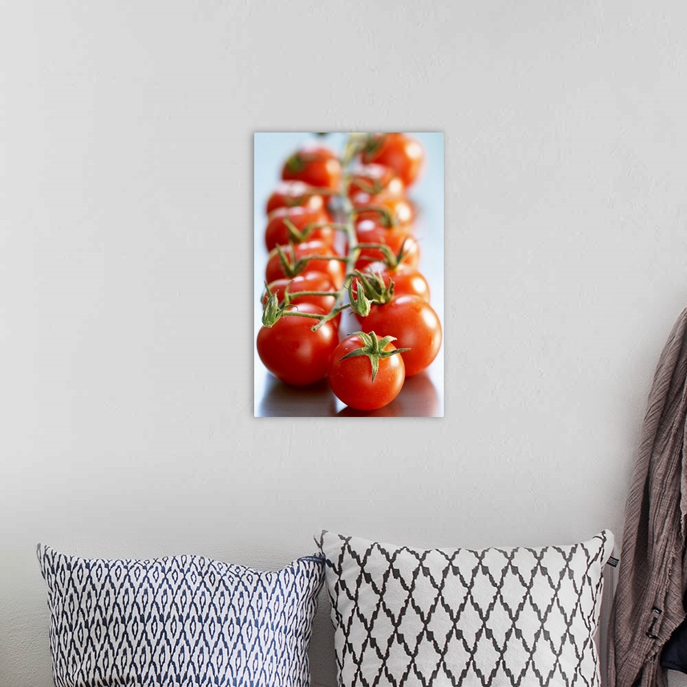 A bohemian room featuring Big, vertical, close up photograph of two rows of cherry tomatoes on the vine, those in the foreg...