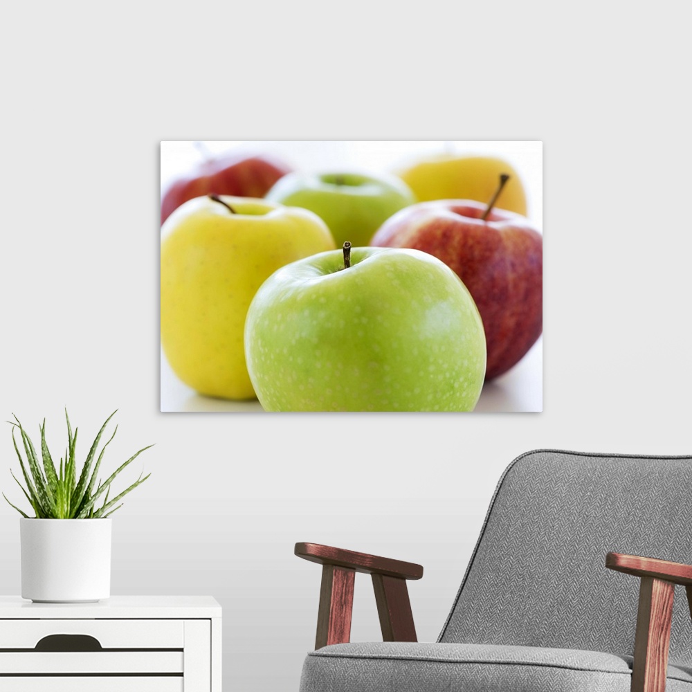 A modern room featuring Close up of colorful apples, studio shot