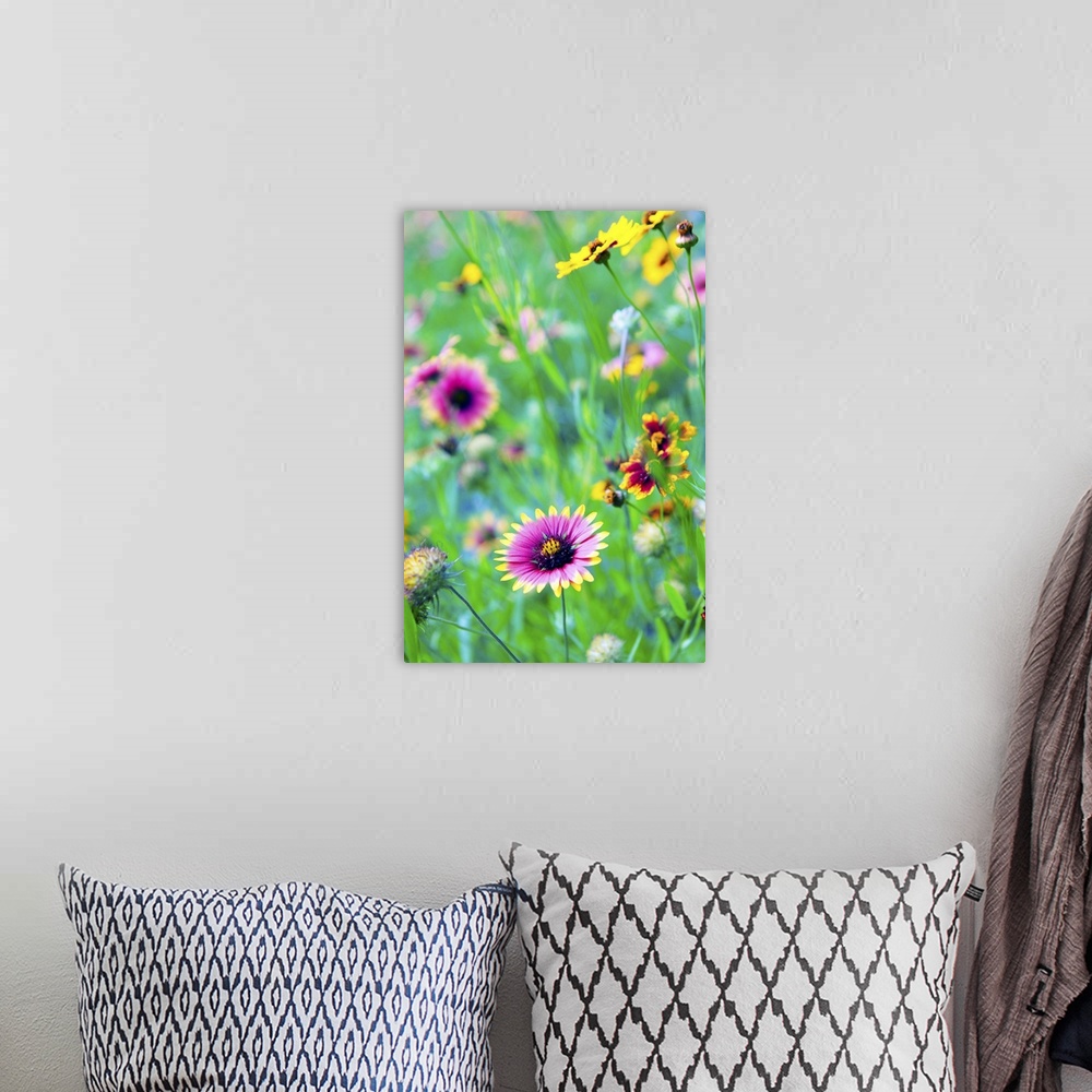 A bohemian room featuring Close-up of colorful wild flowers in a field