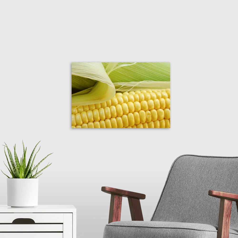 A modern room featuring Close up of corn