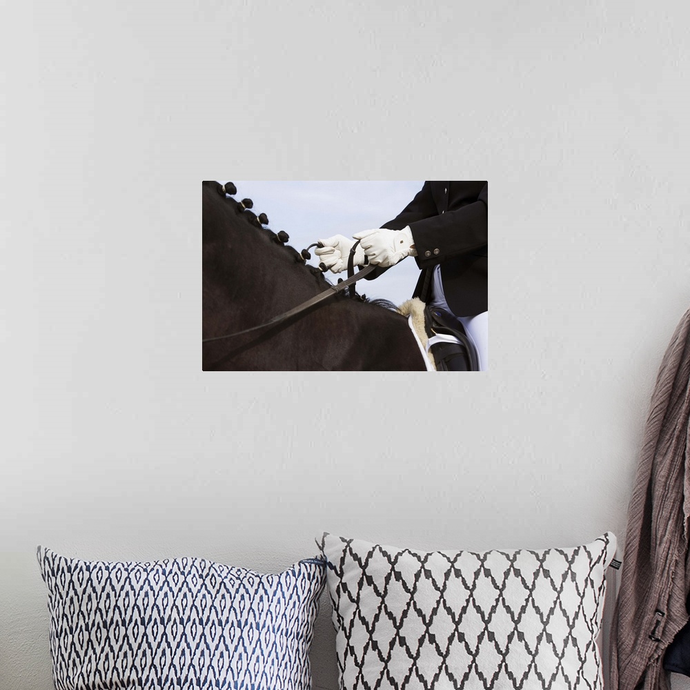 A bohemian room featuring Close-up of dressage horse with rider