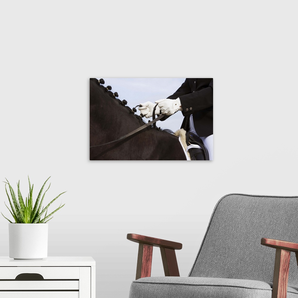 A modern room featuring Close-up of dressage horse with rider