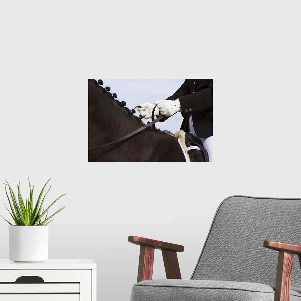 A modern room featuring Close-up of dressage horse with rider