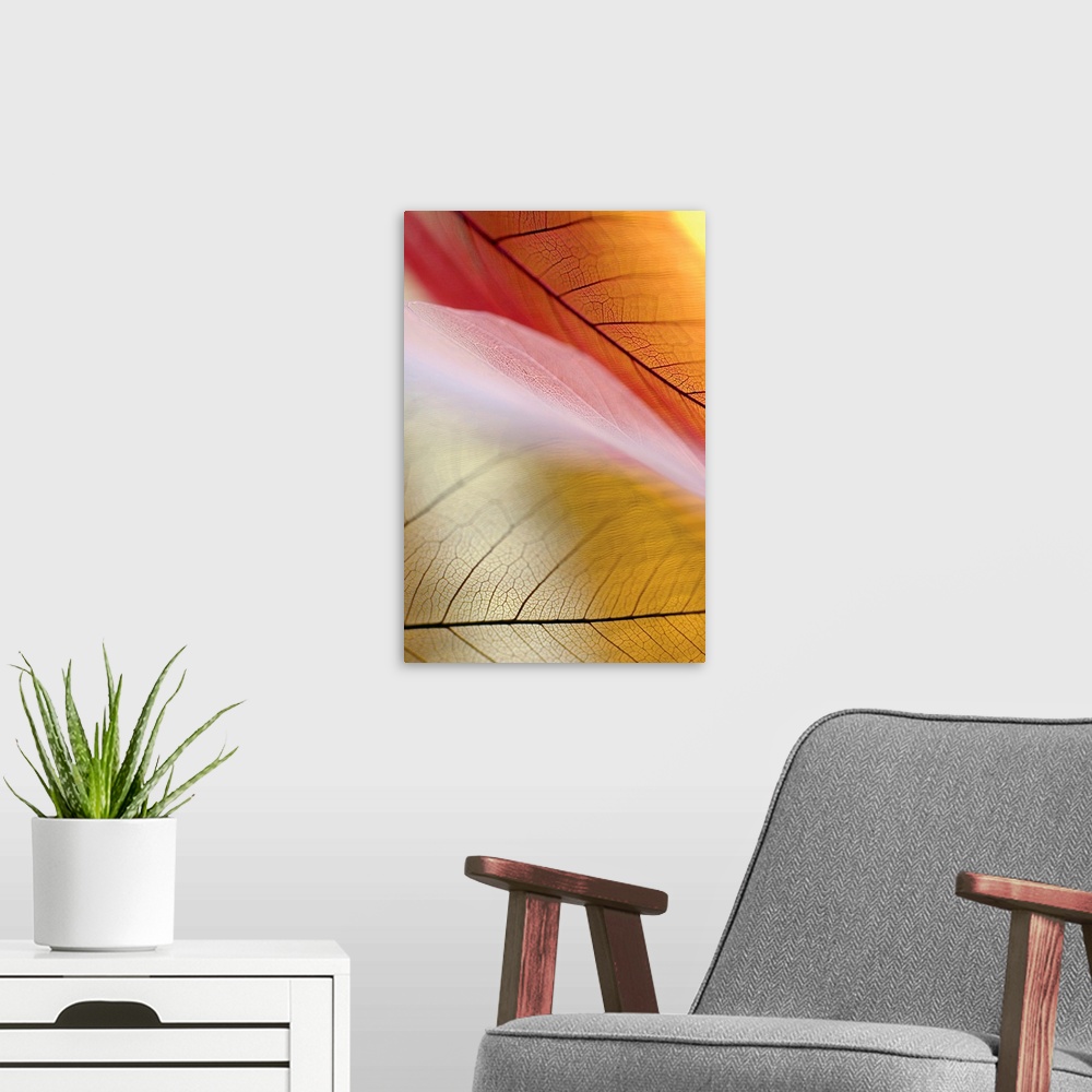A modern room featuring Vertical canvas print of the up close detailed view of leaves.
