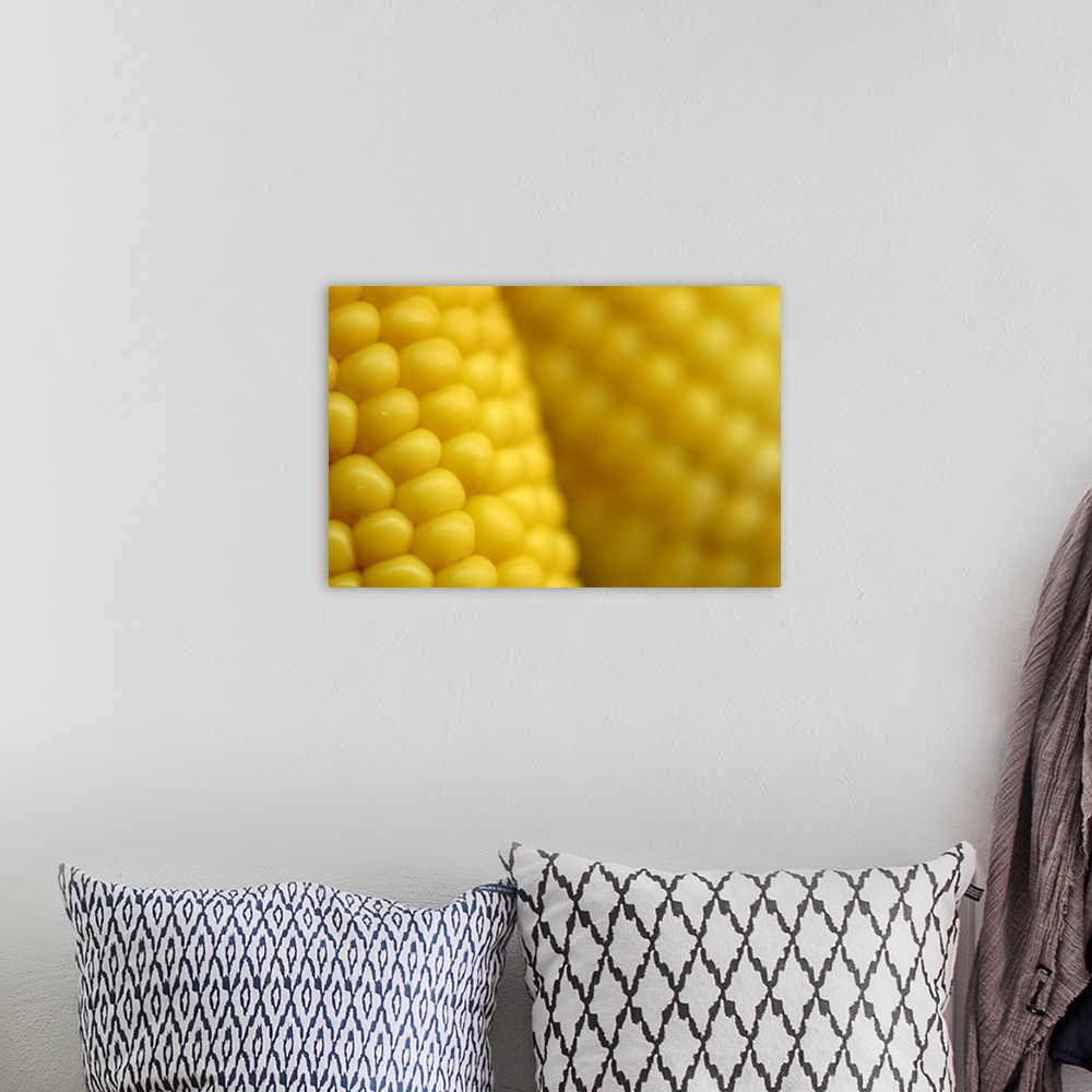 A bohemian room featuring Close-up of fresh corn