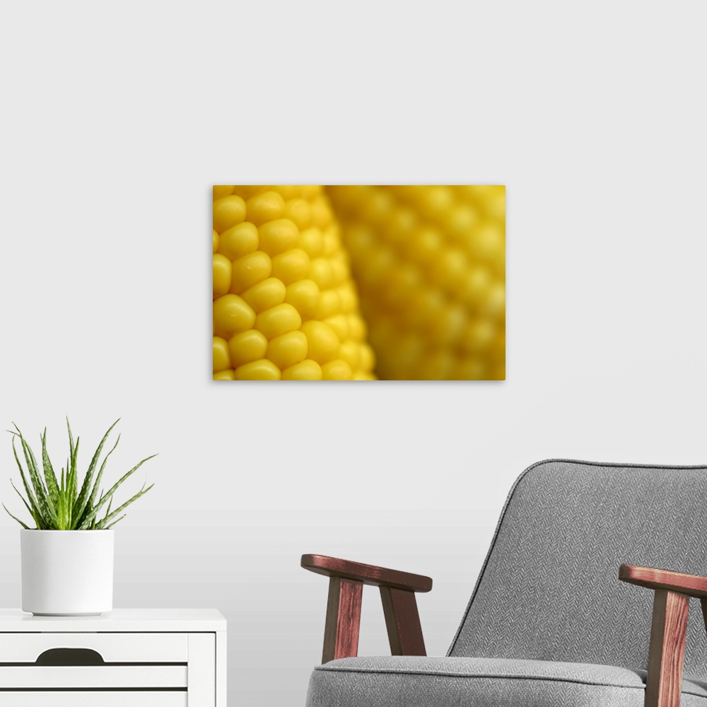 A modern room featuring Close-up of fresh corn